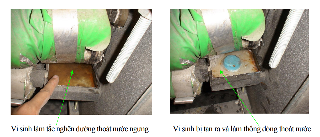 tác dụng rã màng vi sinh làm thông thoáng khay nước ngưng