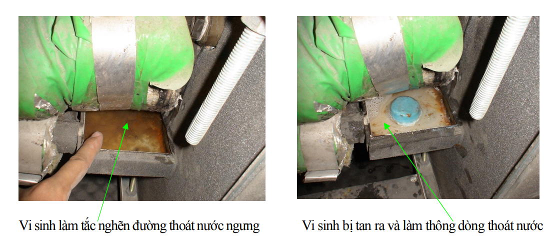 tác dụng rã màng vi sinh làm thông thoáng khay nước ngưng