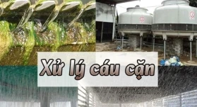 SO SÁNH XỬ LÝ CÁU CẶN BẰNG TỪ TRƯỜNG VÀ HẠT XÚC TÁC CCL